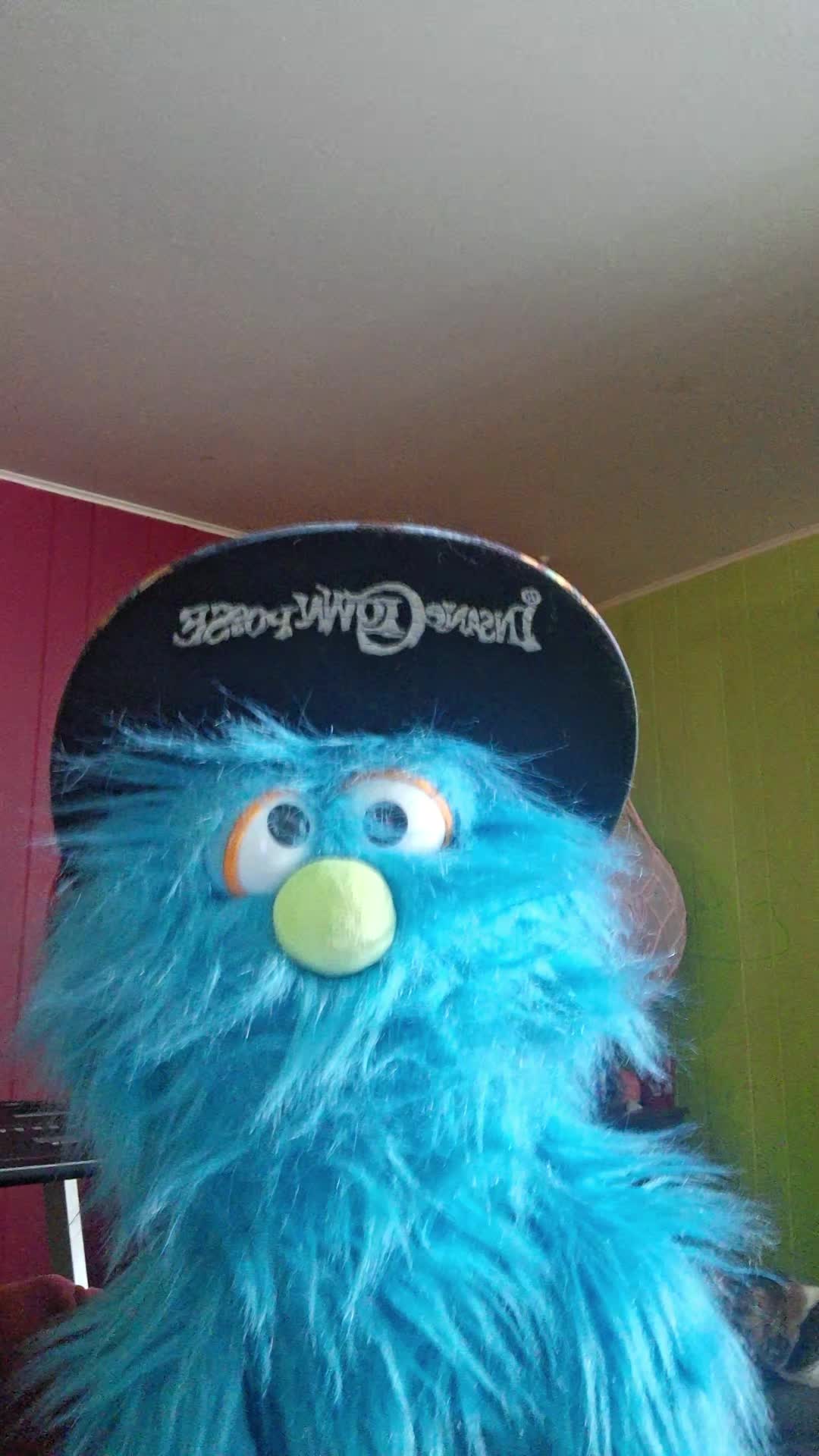 @🖤pickelrick/ juggalo Muppet💜