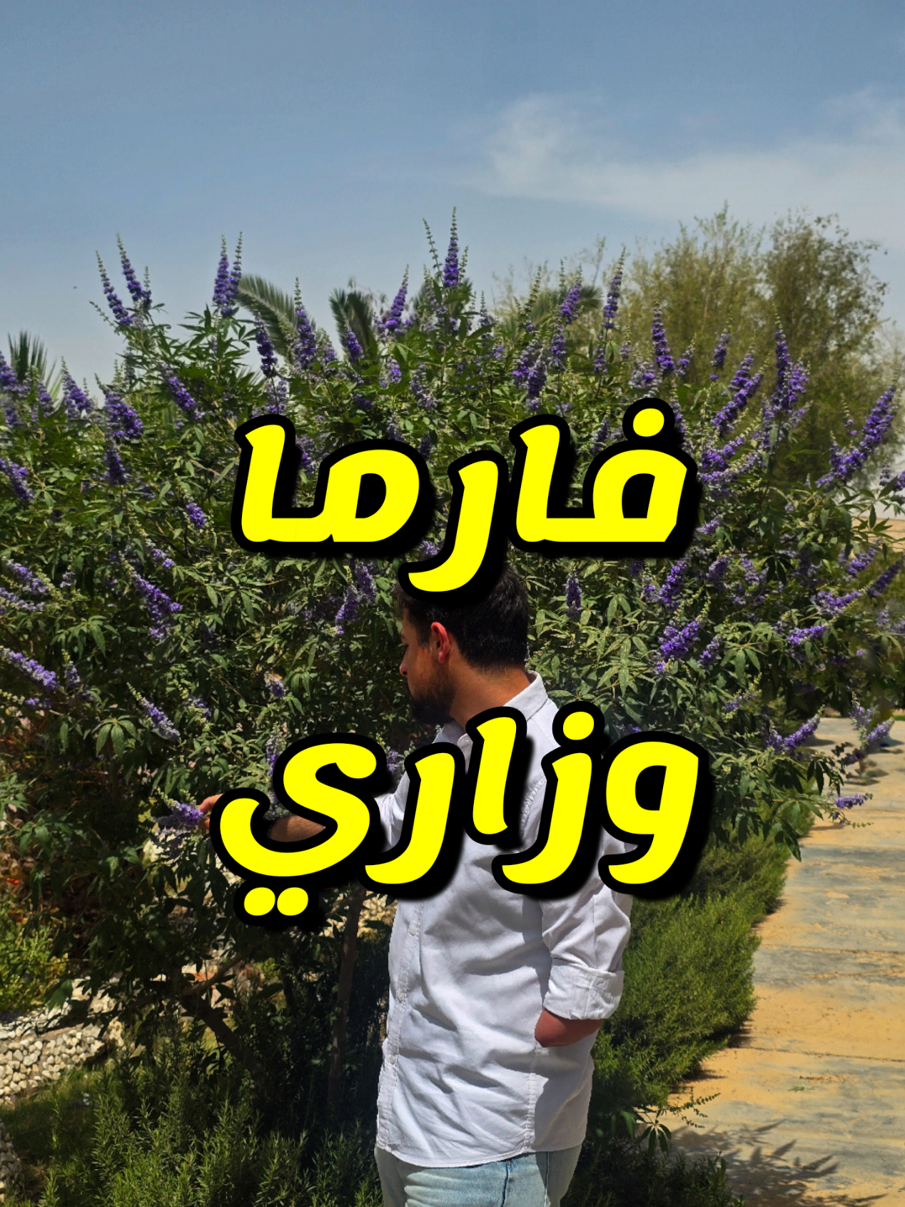@MOHAVRT