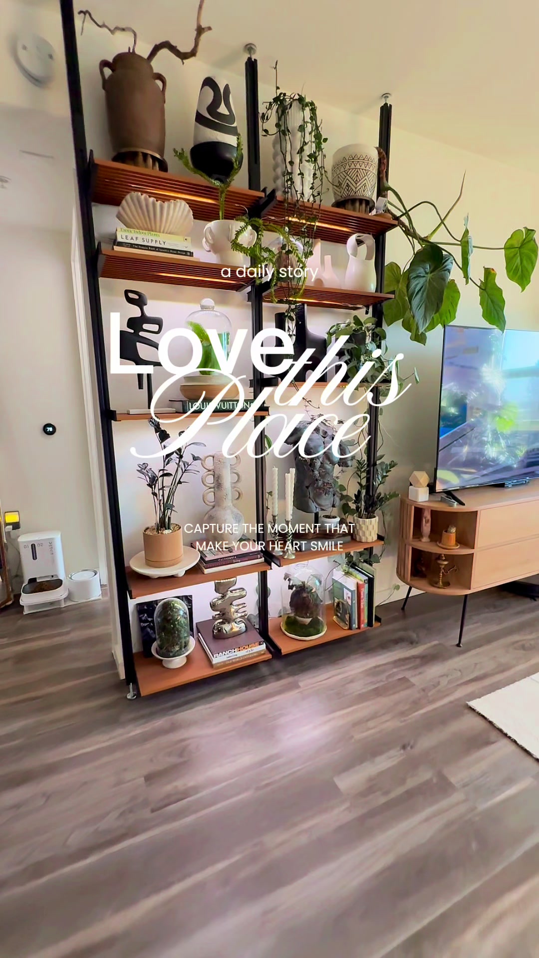 @Cyril’s Plants | Cats | DIY 🌿