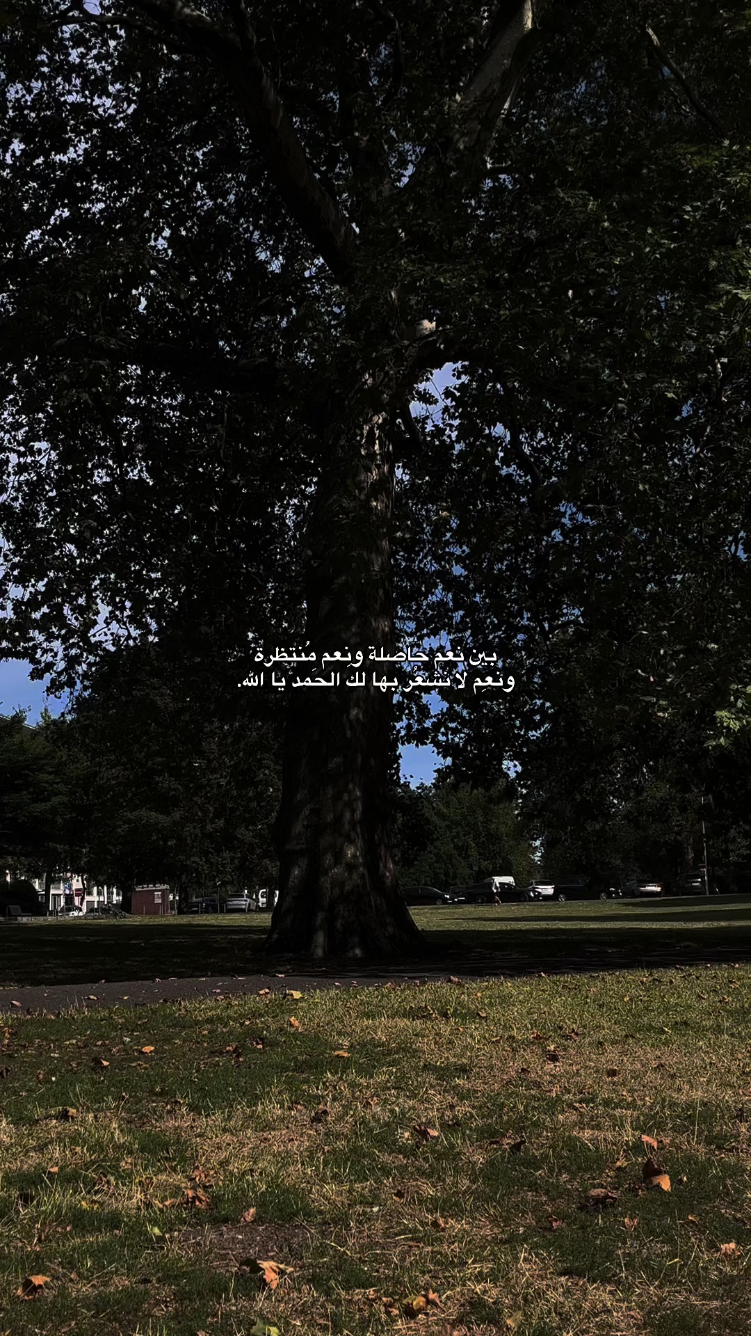 @رٌ | 𝟏𝟗𝟗𝟓