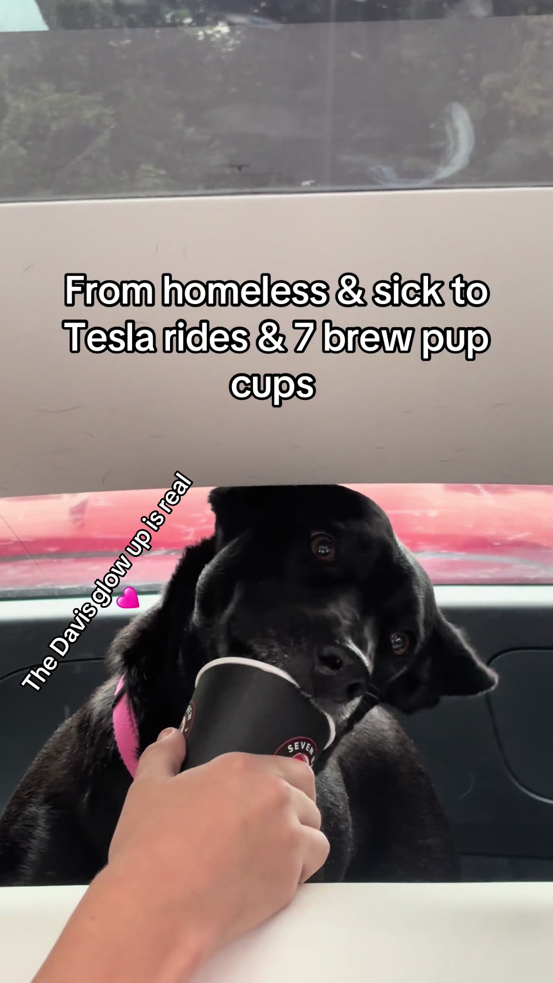 @itiswellstables