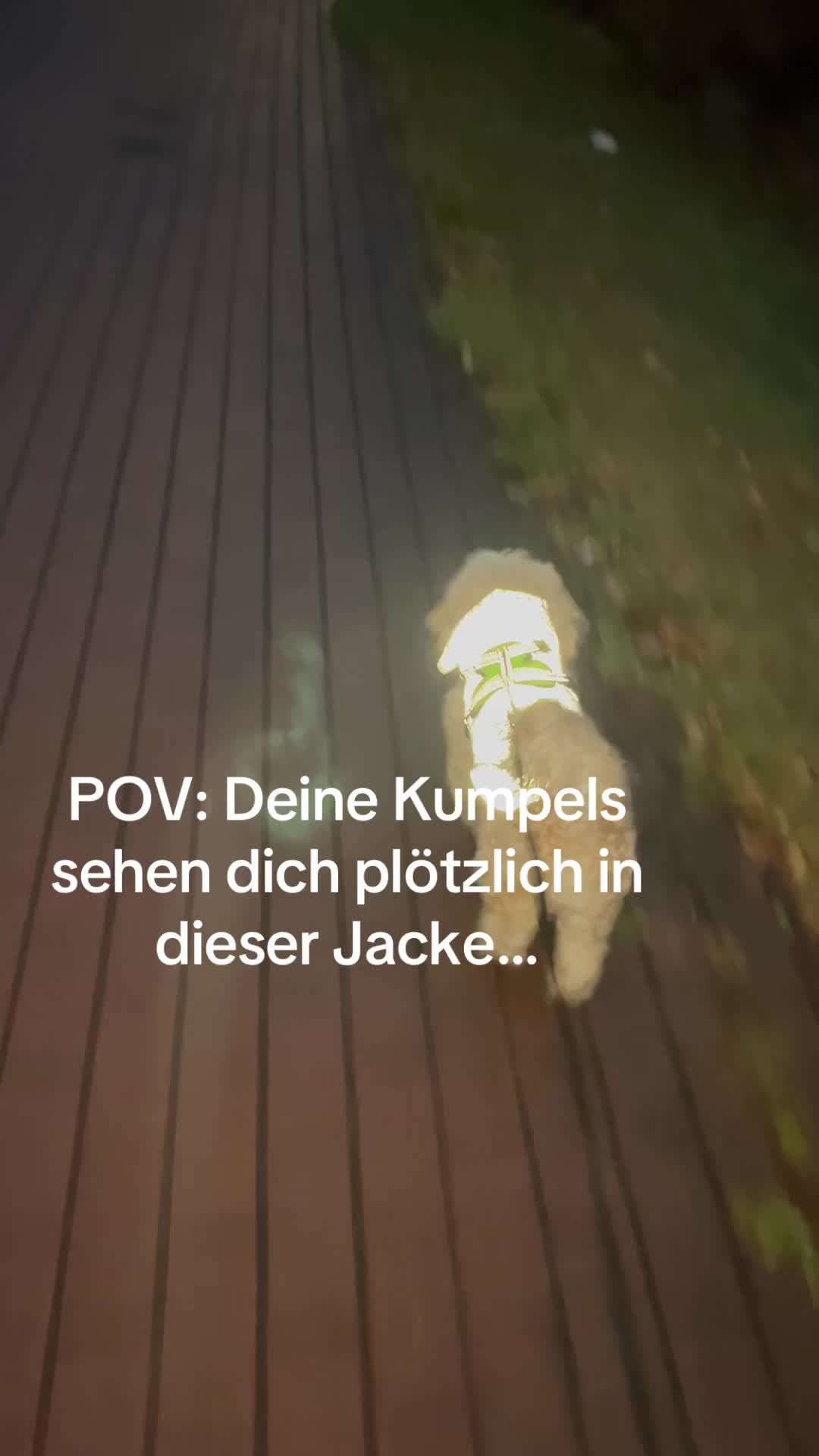 @DogMilow