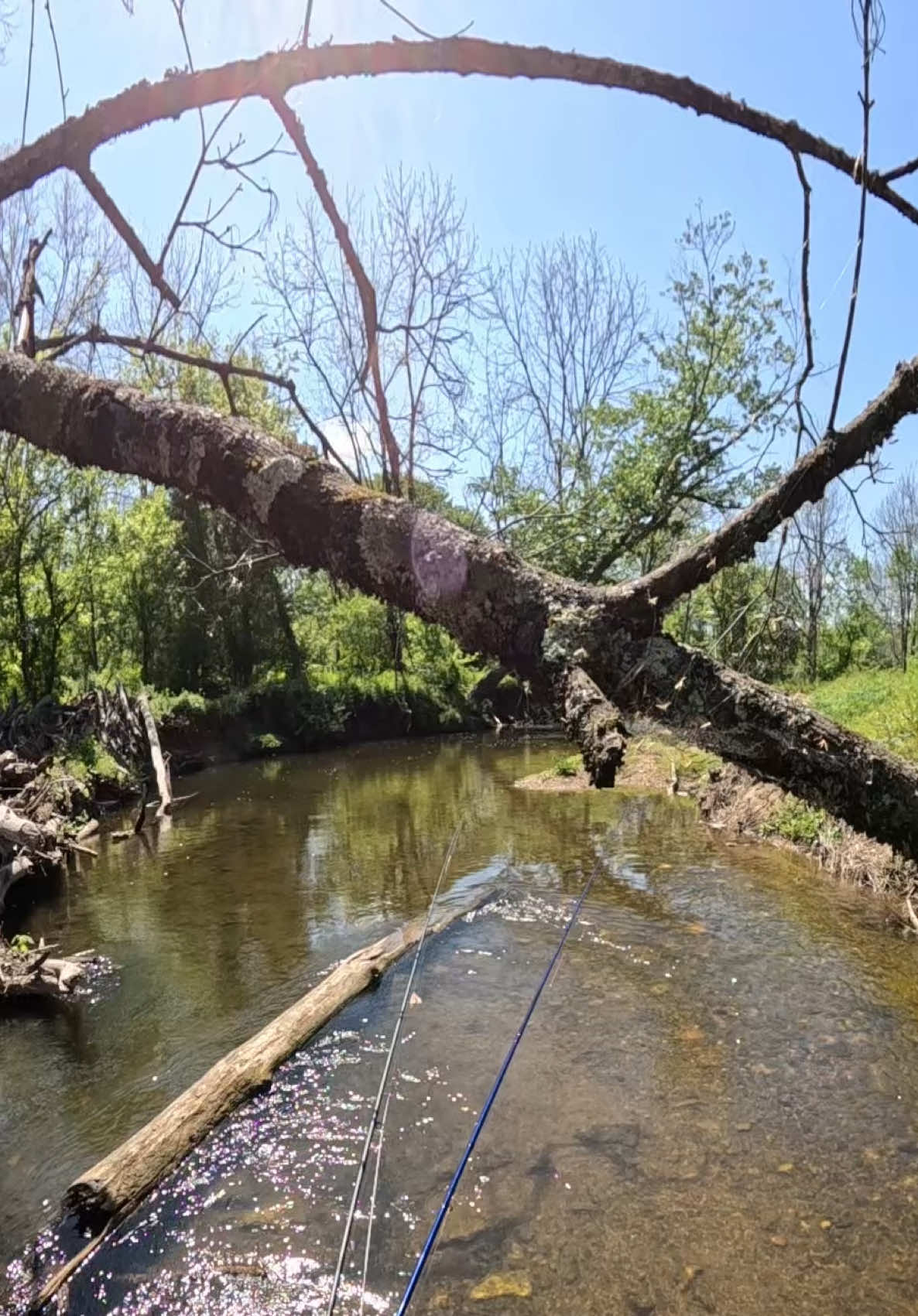 @FlyFishDelawhere