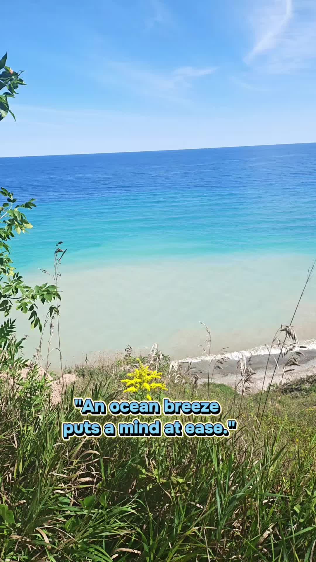 @prncessamari