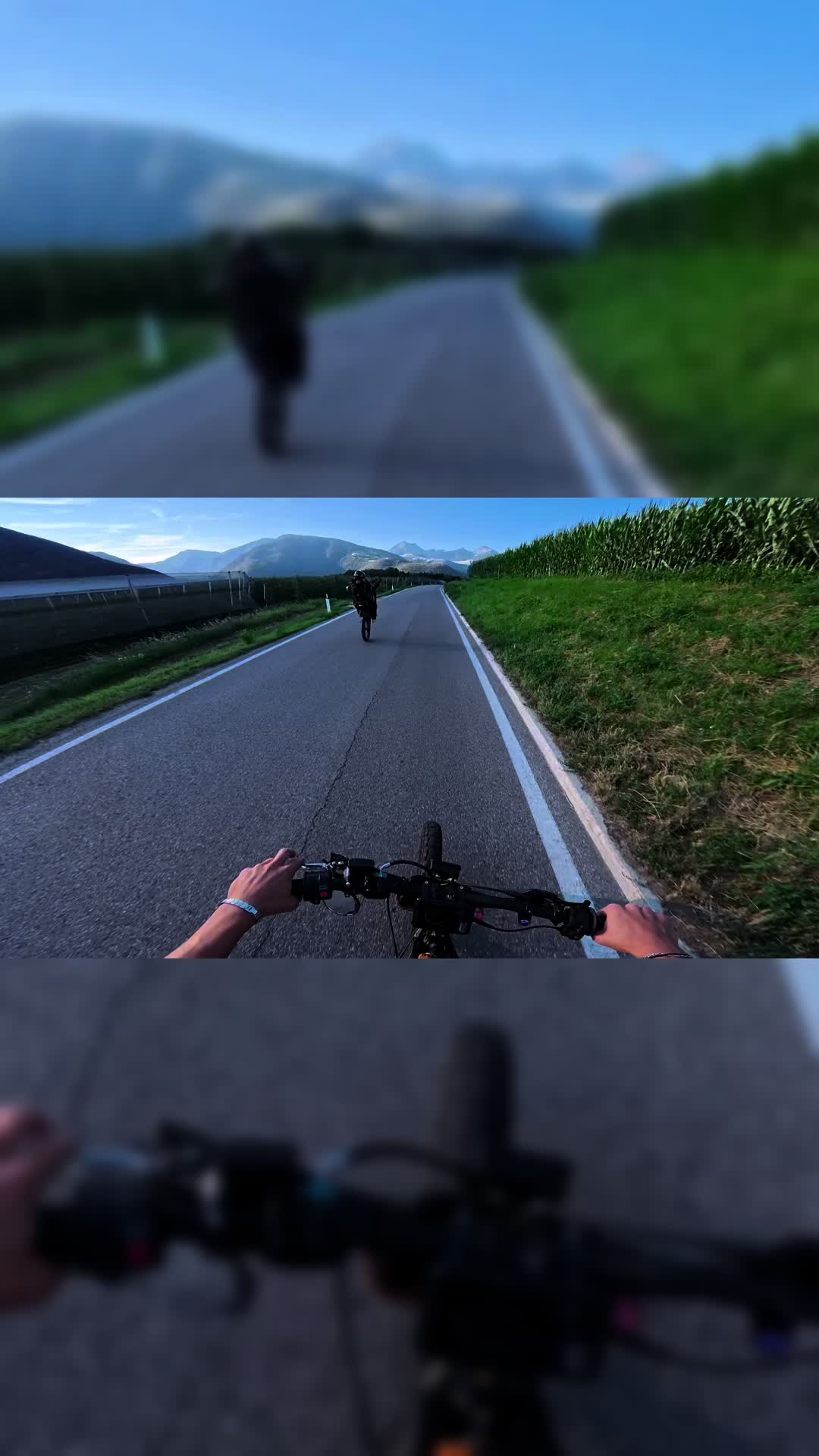 @MX4 Trex