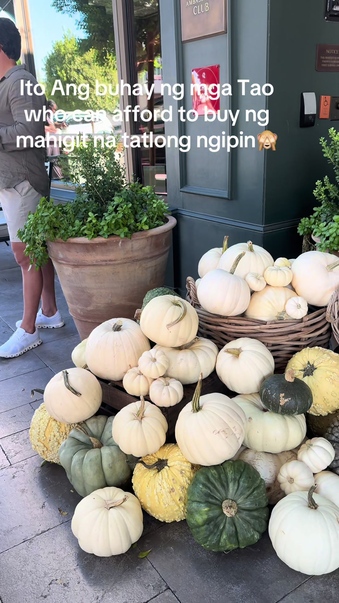 @pinayinscottsdale