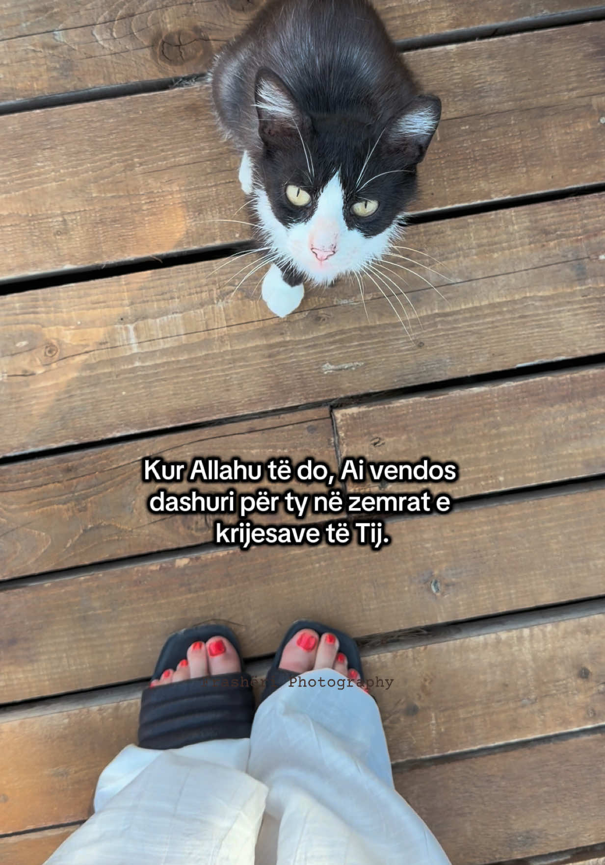 @𝐿𝓊𝓂𝑒𝓃 𝒷𝓎 𝐸𝓇𝒶𝓁𝒹𝒶