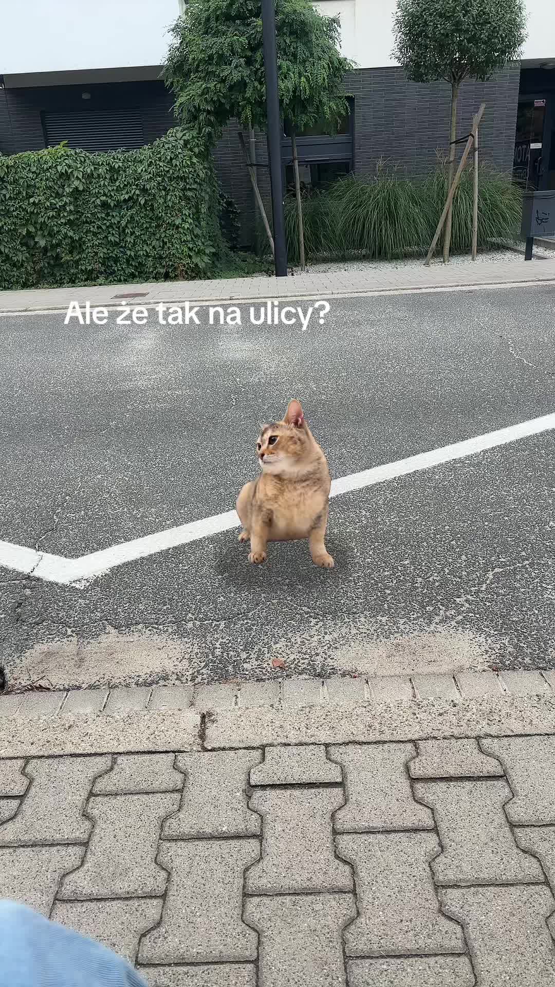 @@