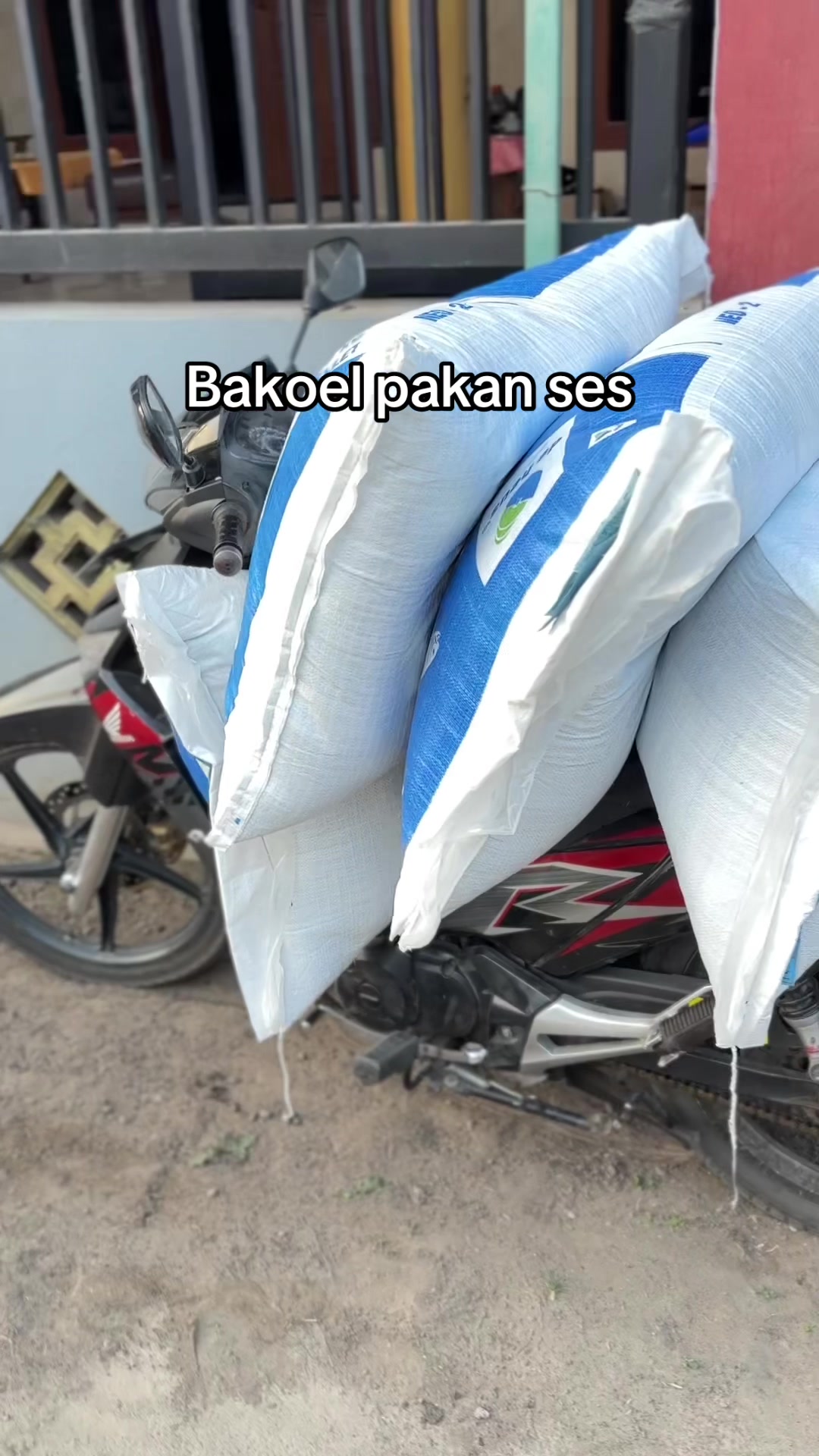 @Perikanan surowono