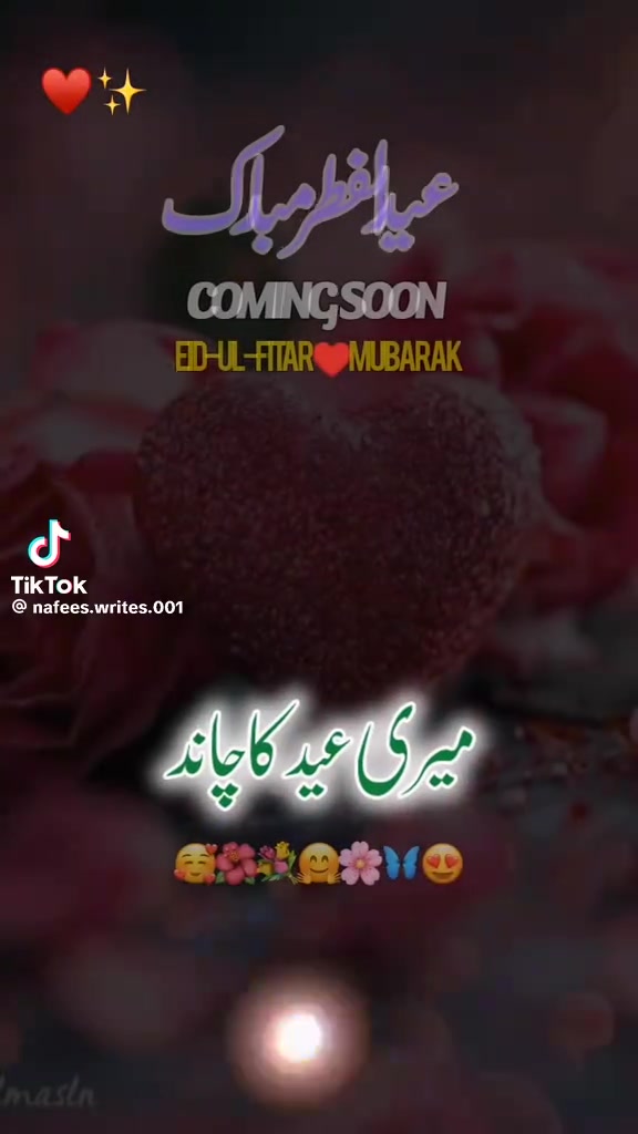 @Shabnam Sayyed