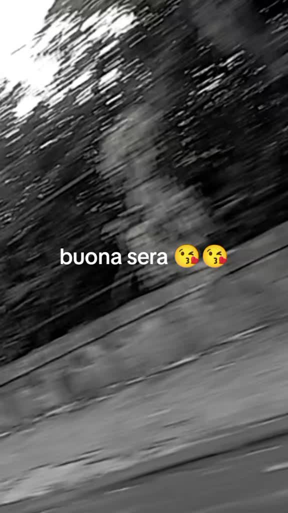 @veronica vitale