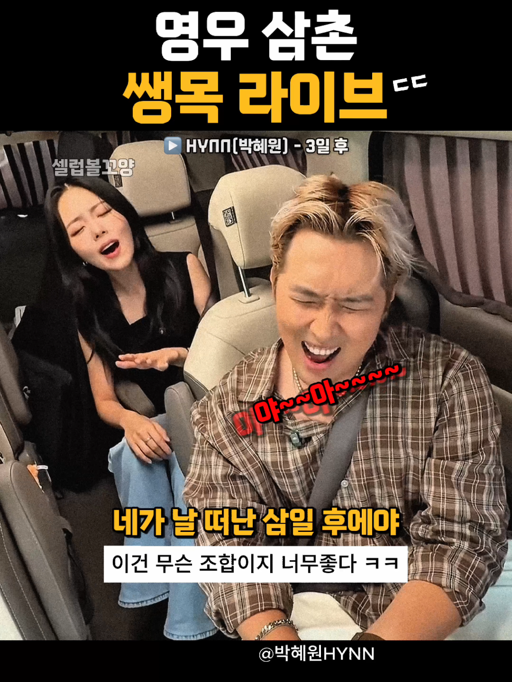 @셀럽볼꼬양