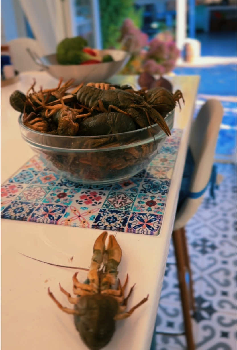 @ALONA | FOOD & HOME