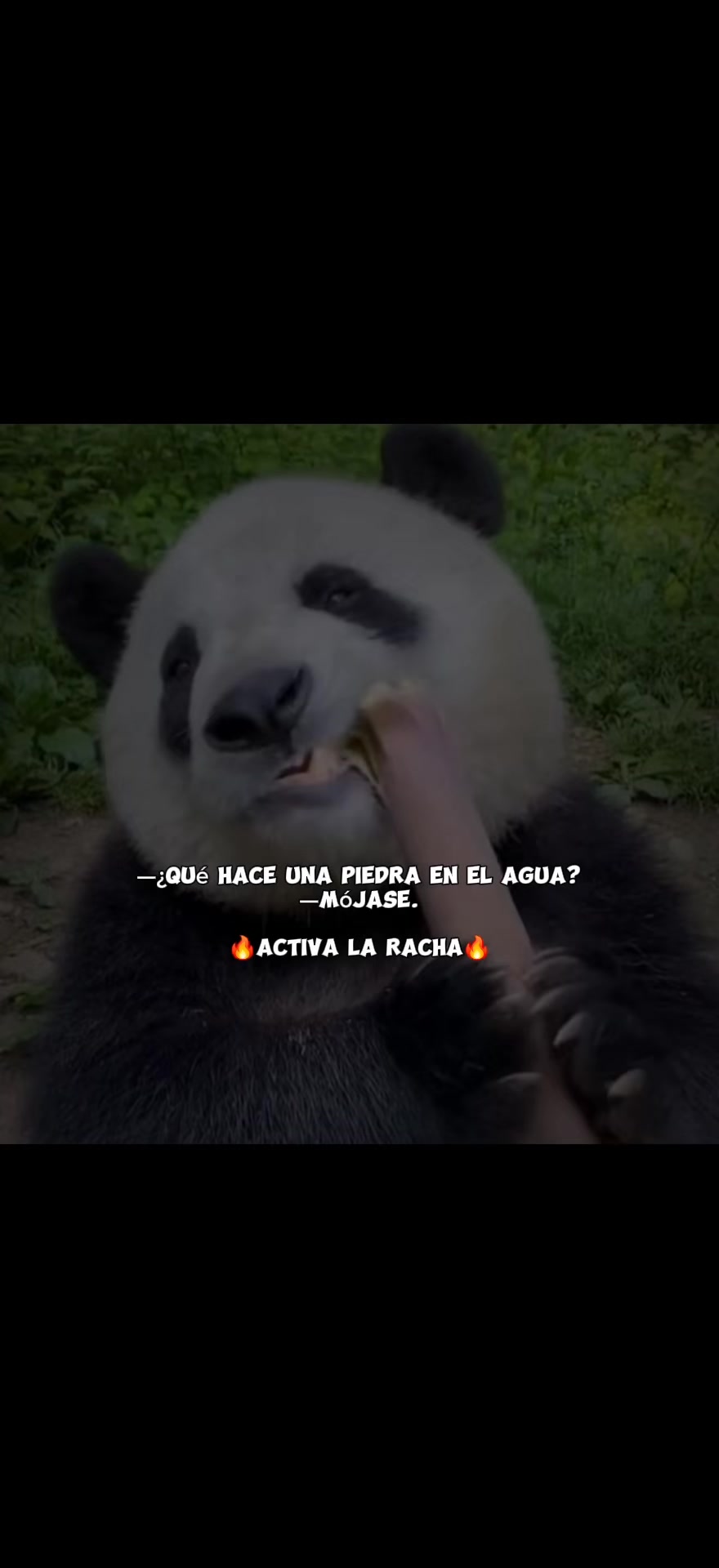 @Rolitas pegadas 🧃