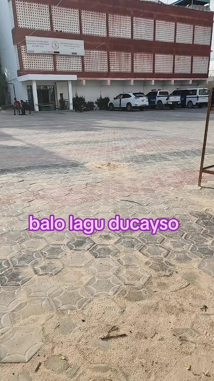 @Qatar
