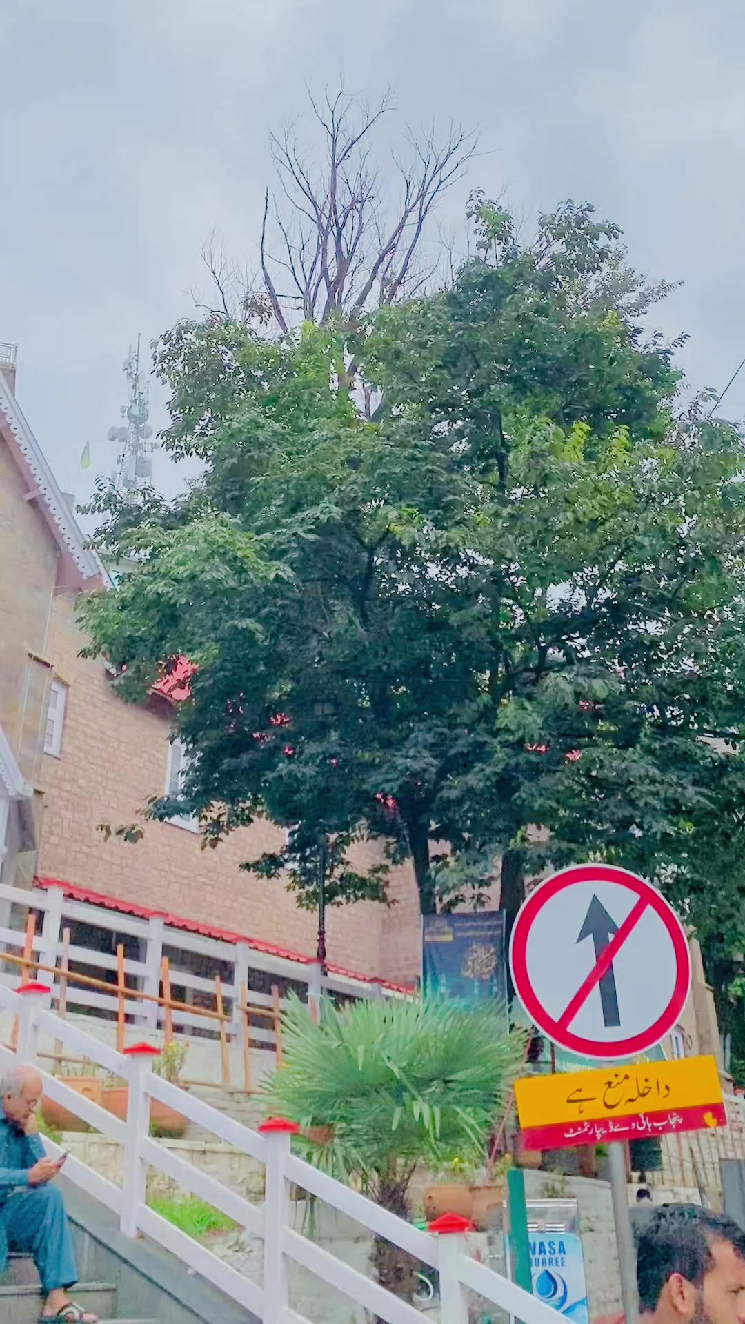 @badar.      arani 🥰