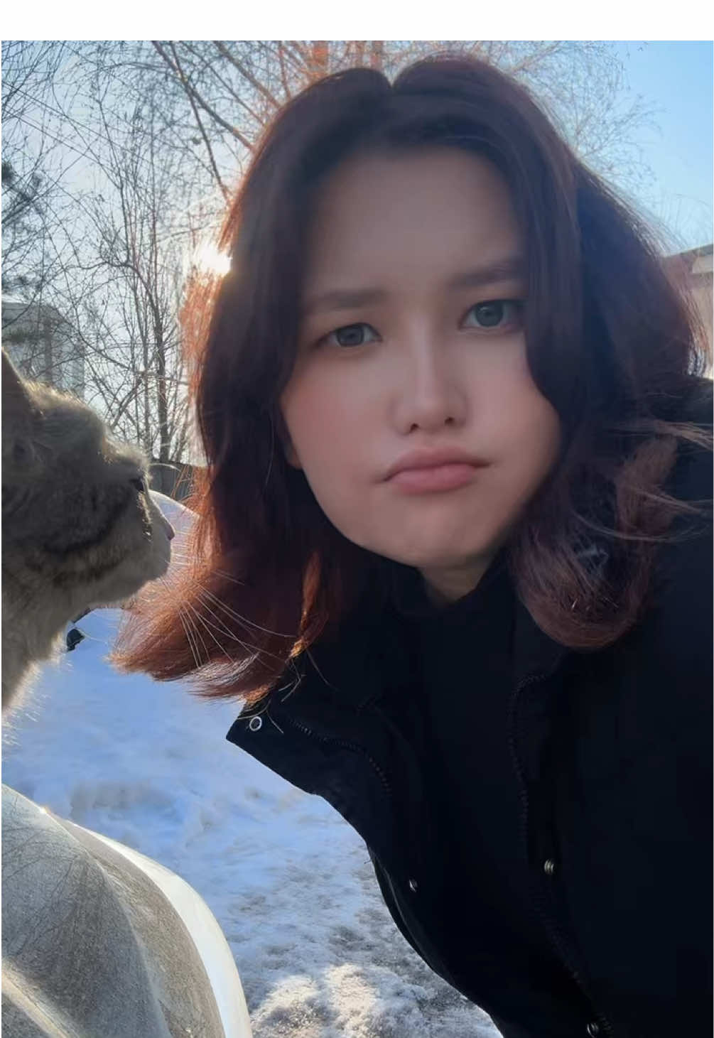 @Карина