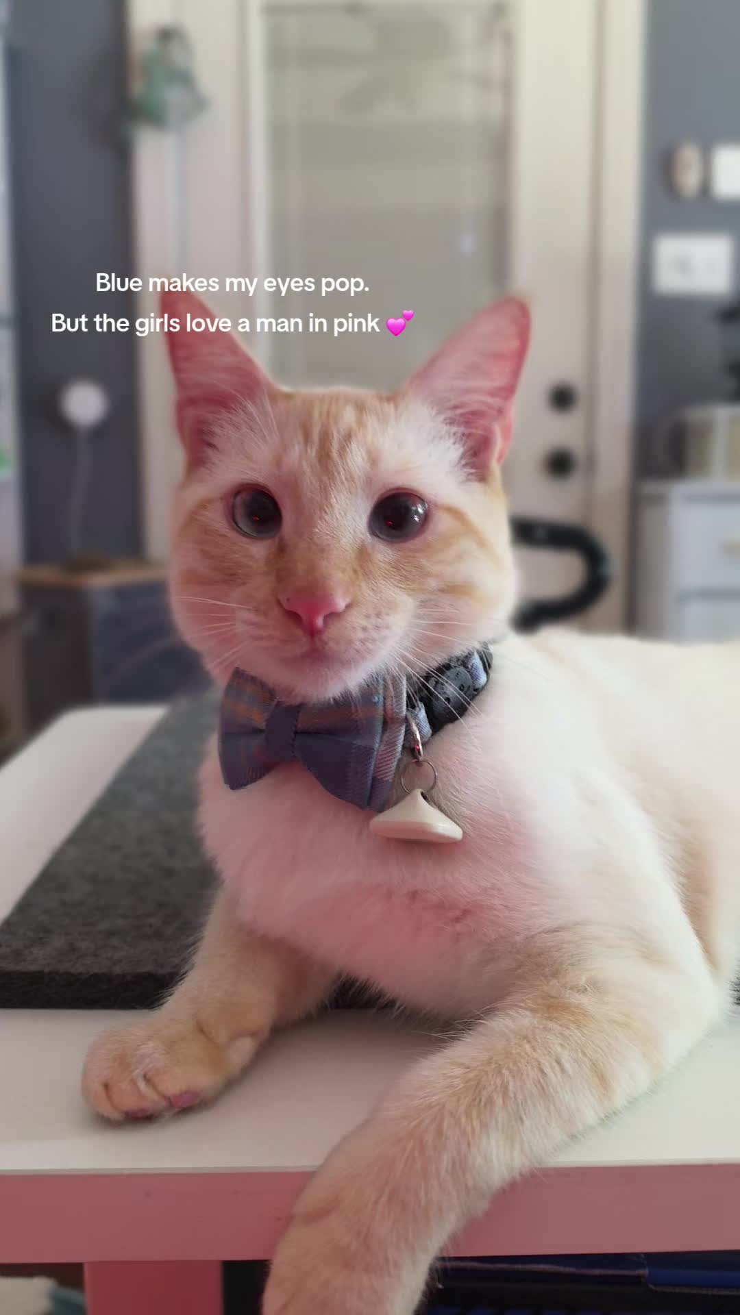 @SillyGoose