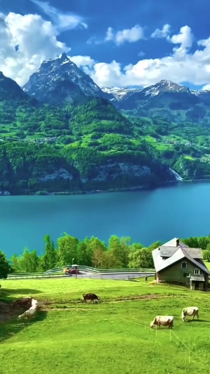 @balbasnet54
