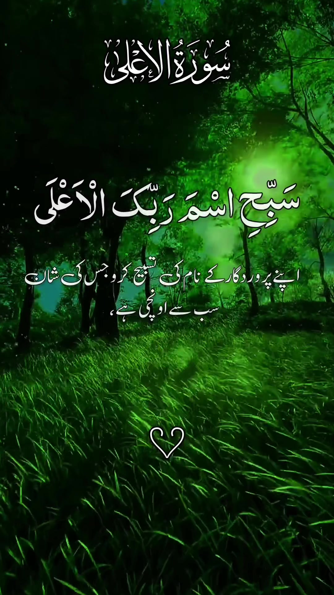 @❣️ Words of Allah ❣️