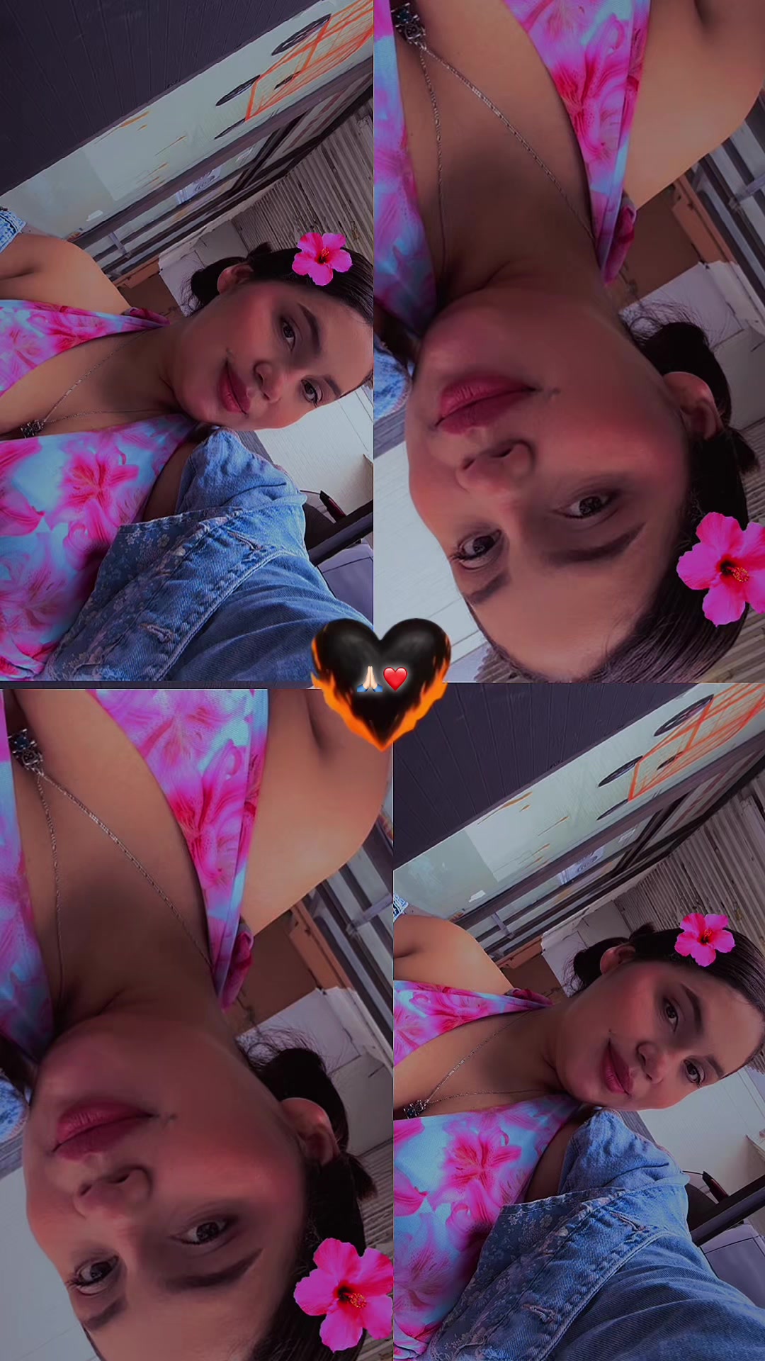 @No_he JR🦕🦋❤️ +505