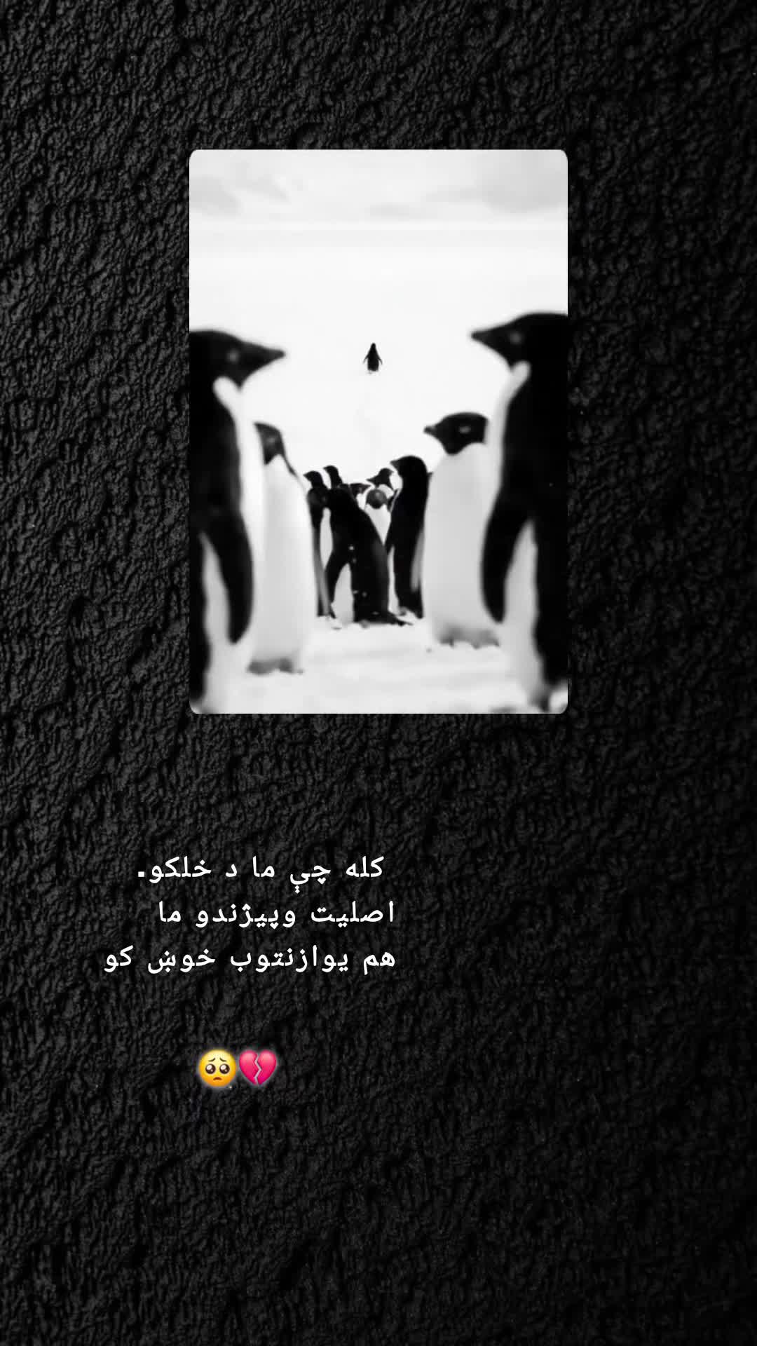 @رهــ🦢ــبر ◡̈⃝🖤
