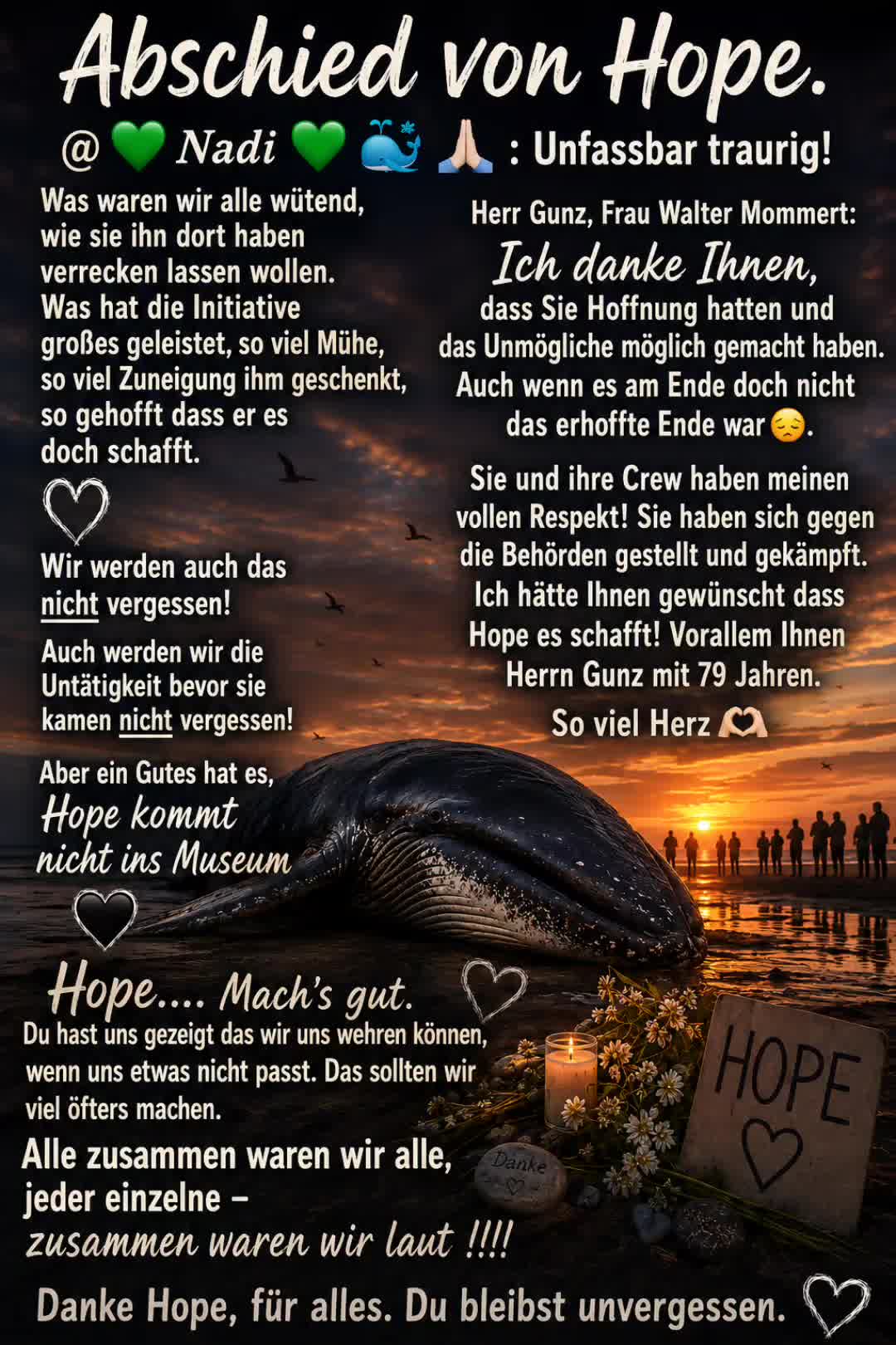 @💚Nadi💚🐋🙏🏼