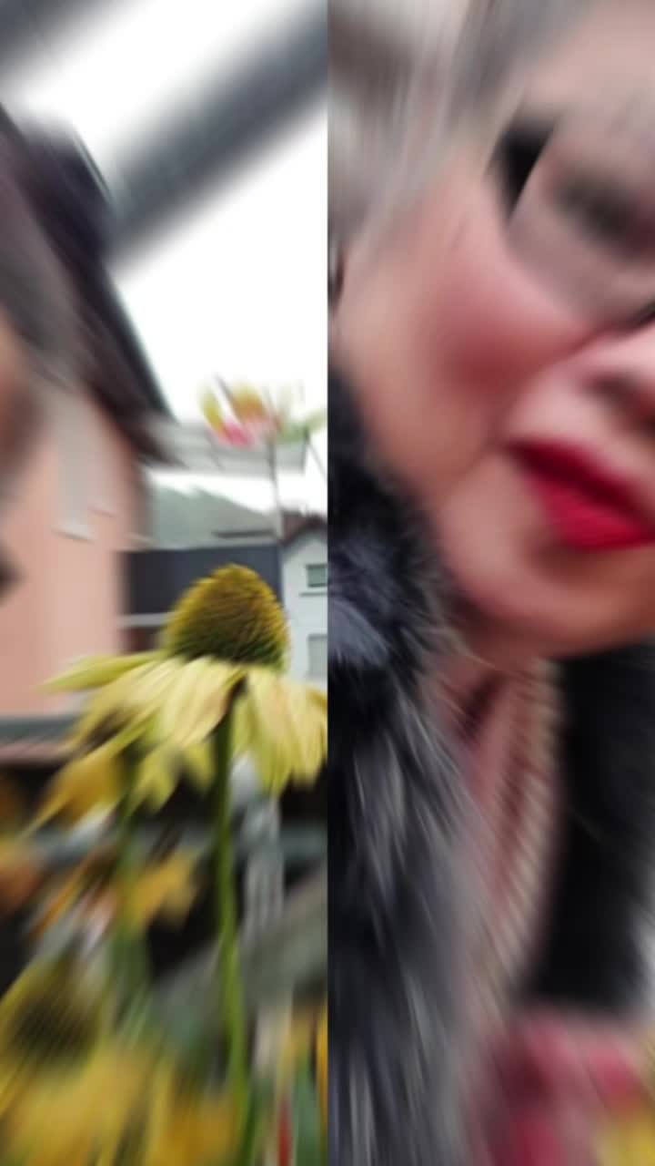@Bạch yến hoàng
