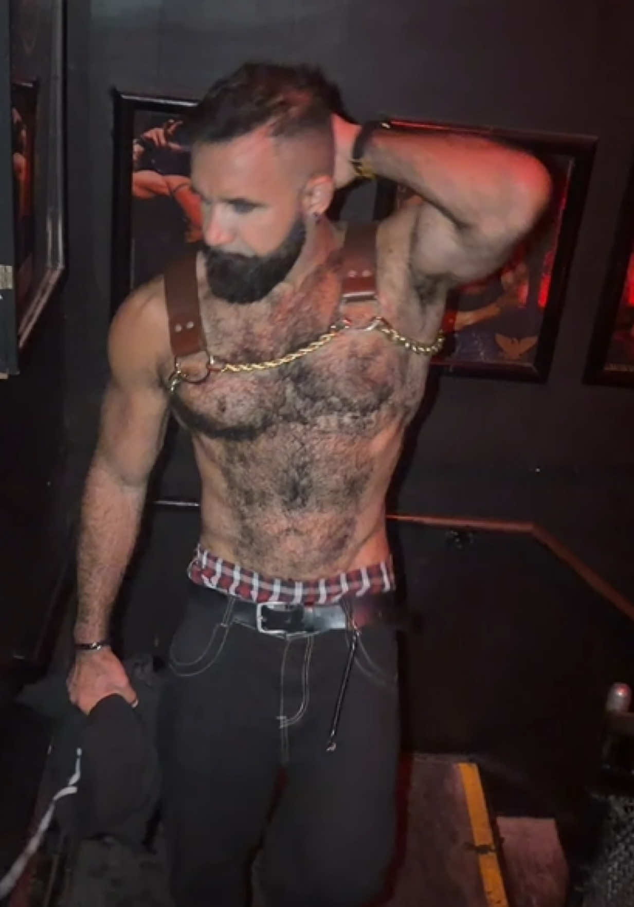 @Persian Wolf 🐺