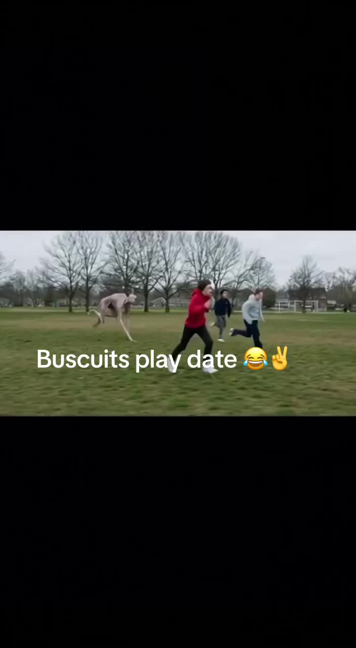 @Zisc
