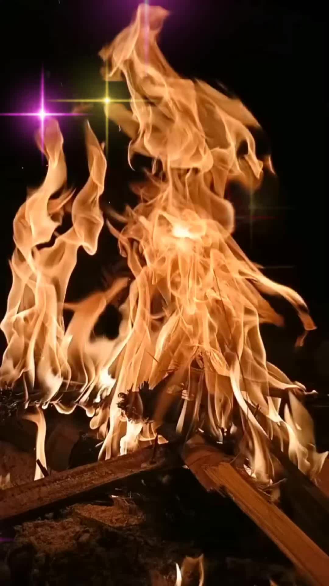 @Алиса