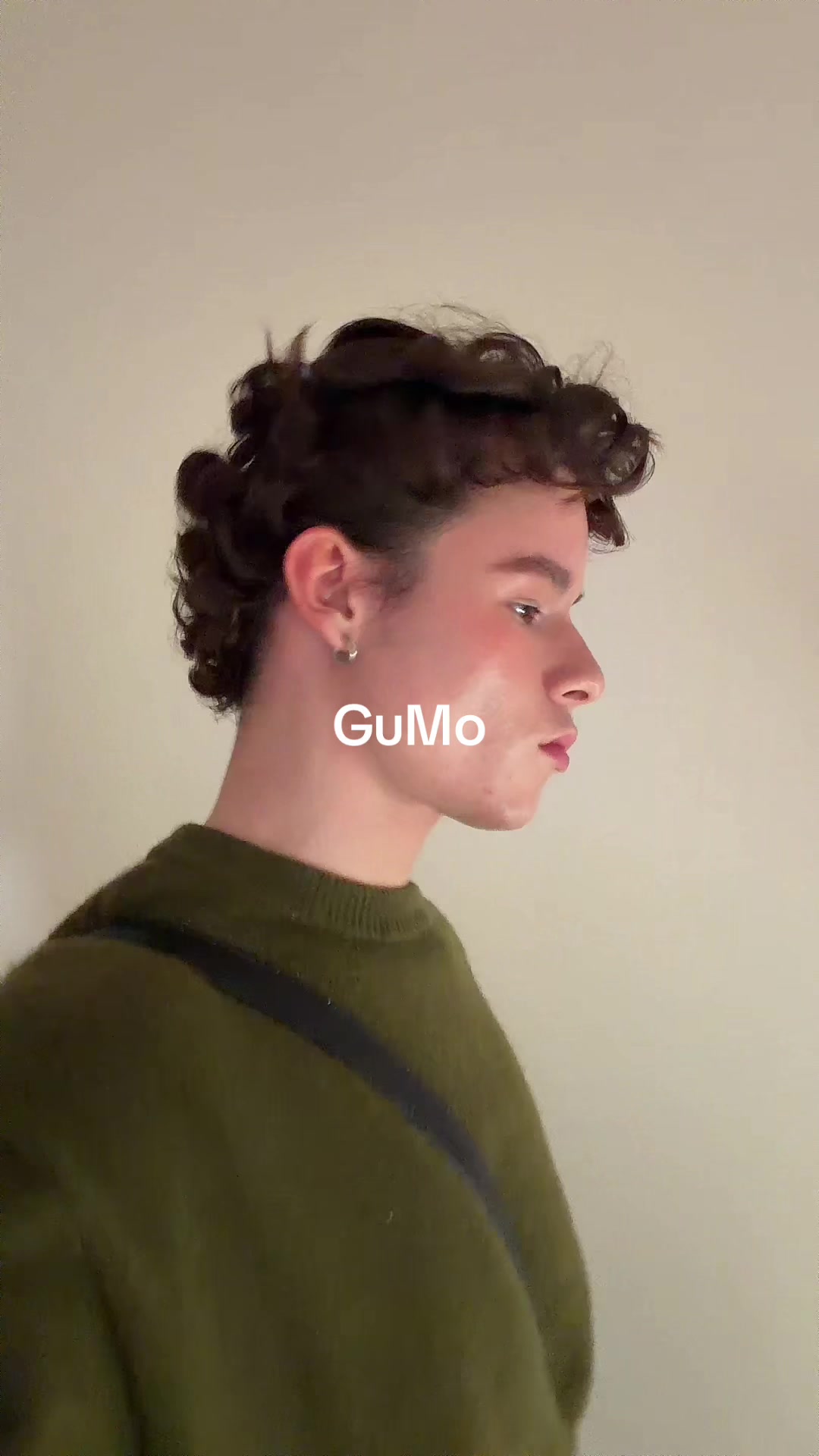 @palantinii