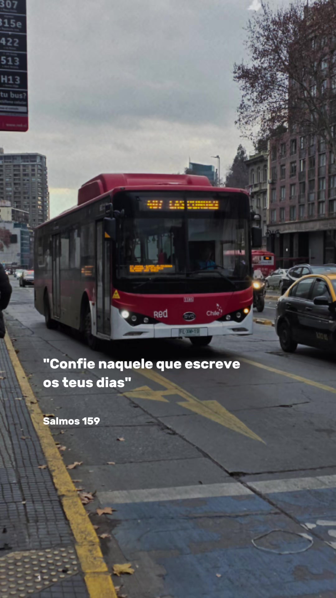 @Luiz Felipe Coelho