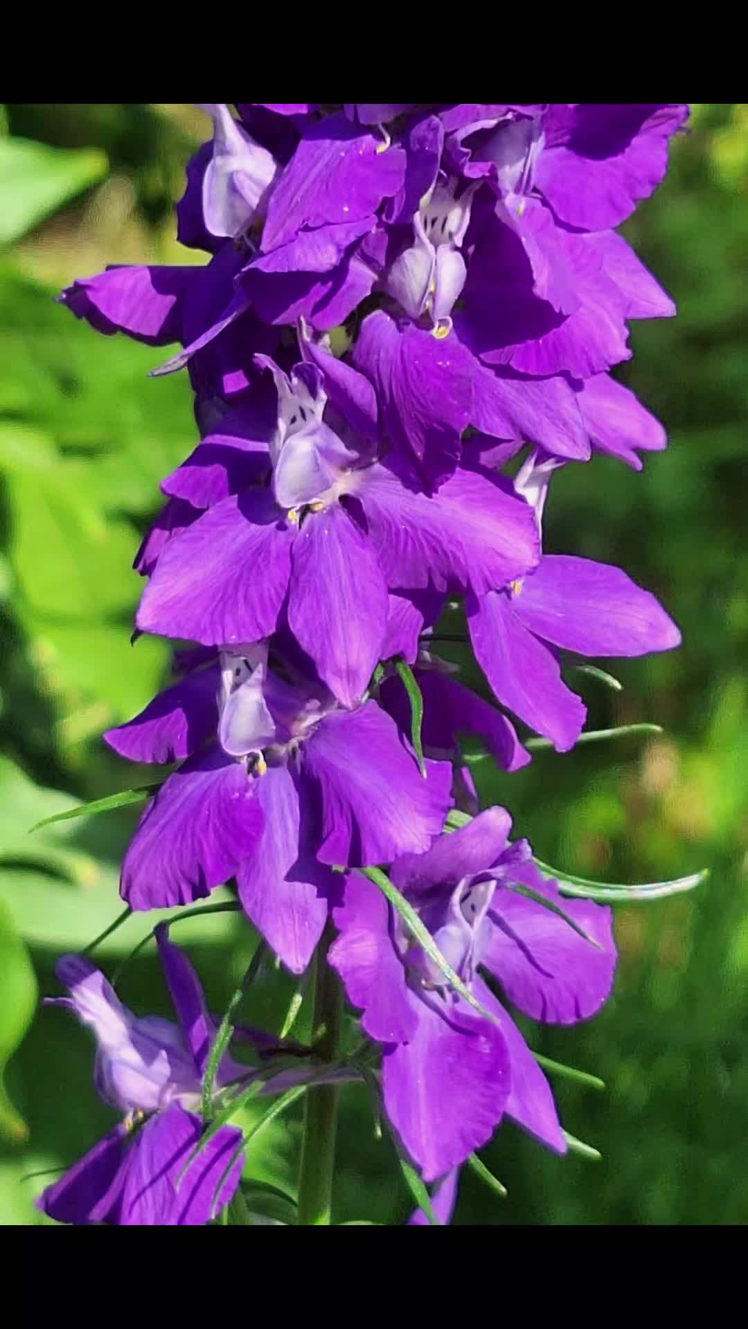 @Natur und Garten