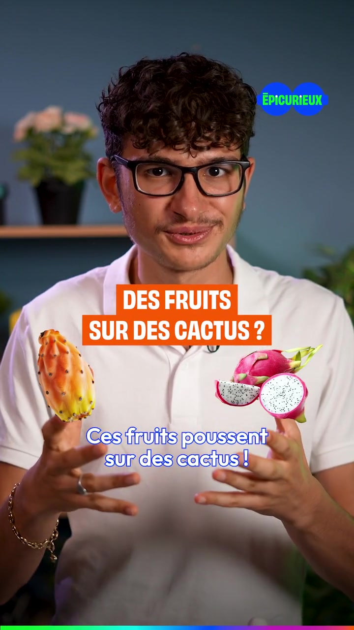 @Jamy - Epicurieux