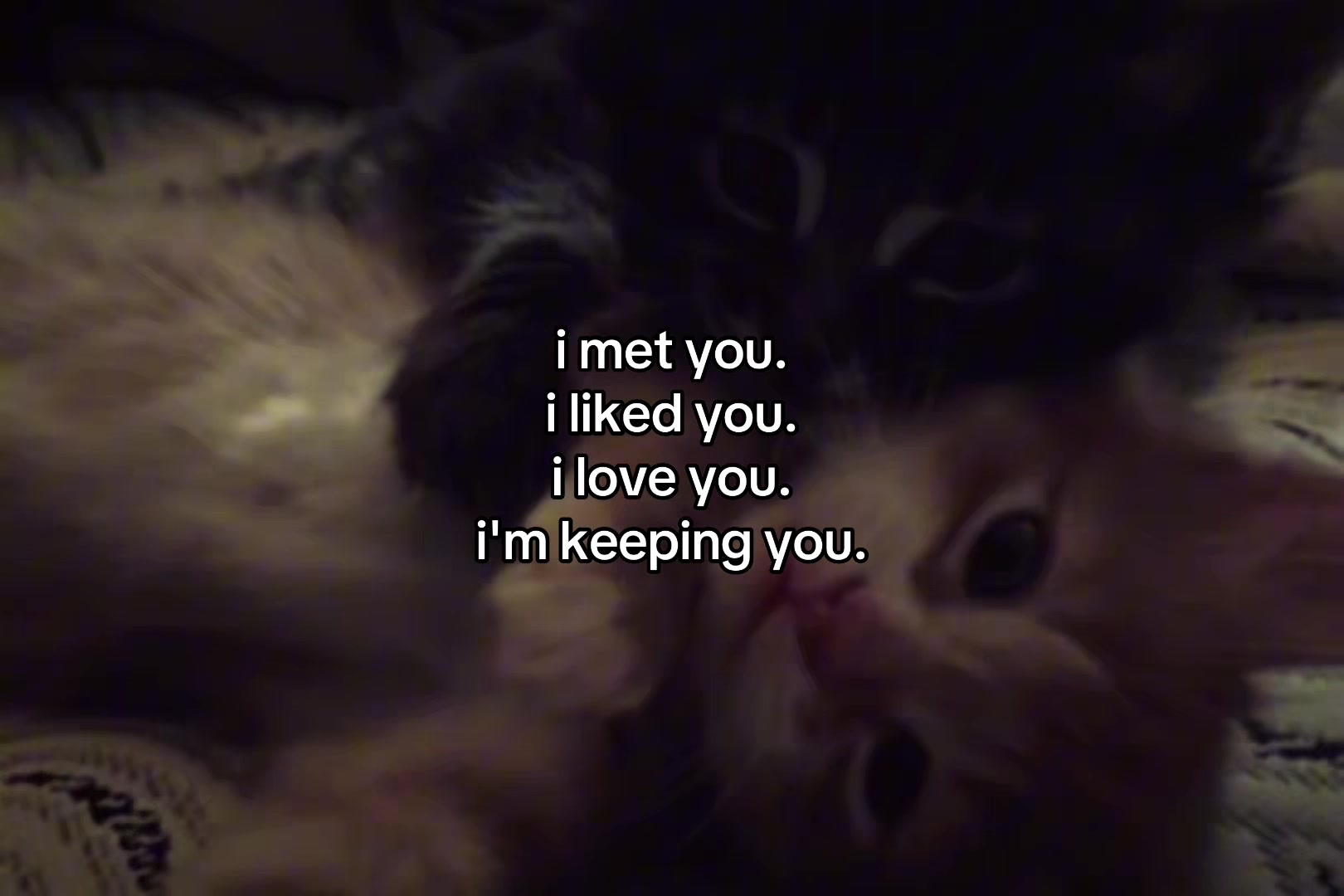 @sxalenz