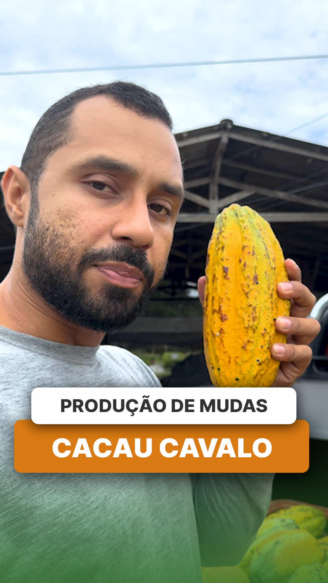 @ViveiroProMudas