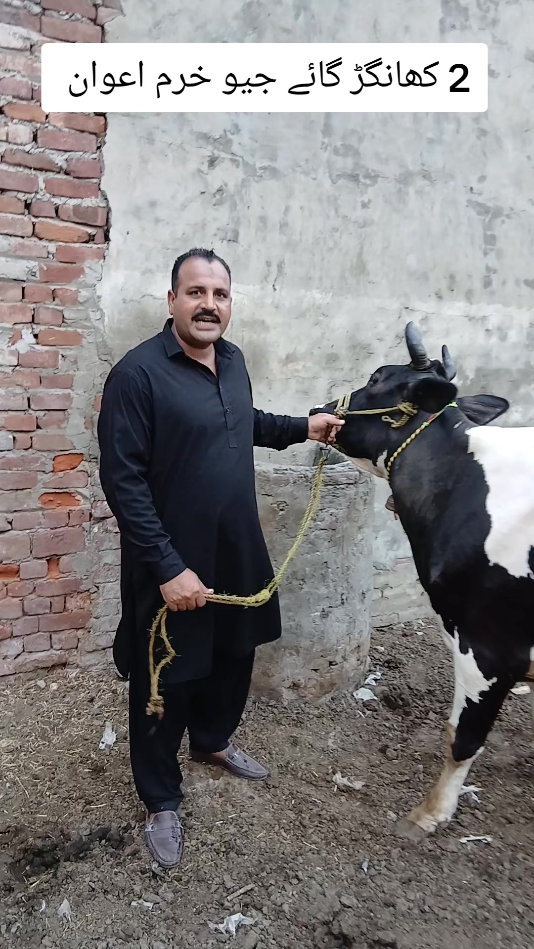 @Farming and Business Ideas