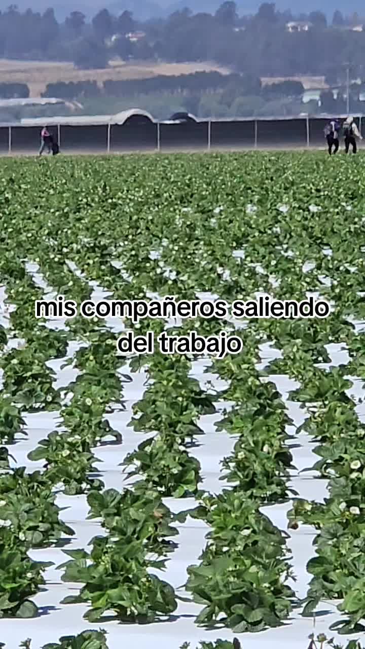 @🇲🇽🐦⬛🪺VASQUEZ🚚🌪💎