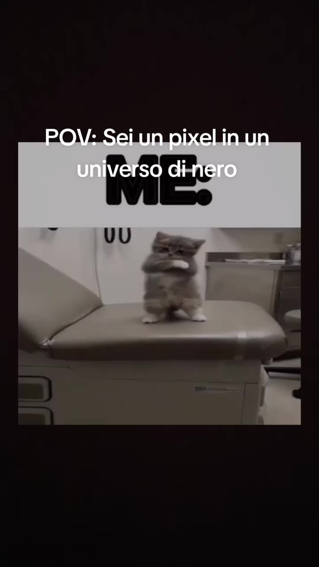 @Noemi Alpini