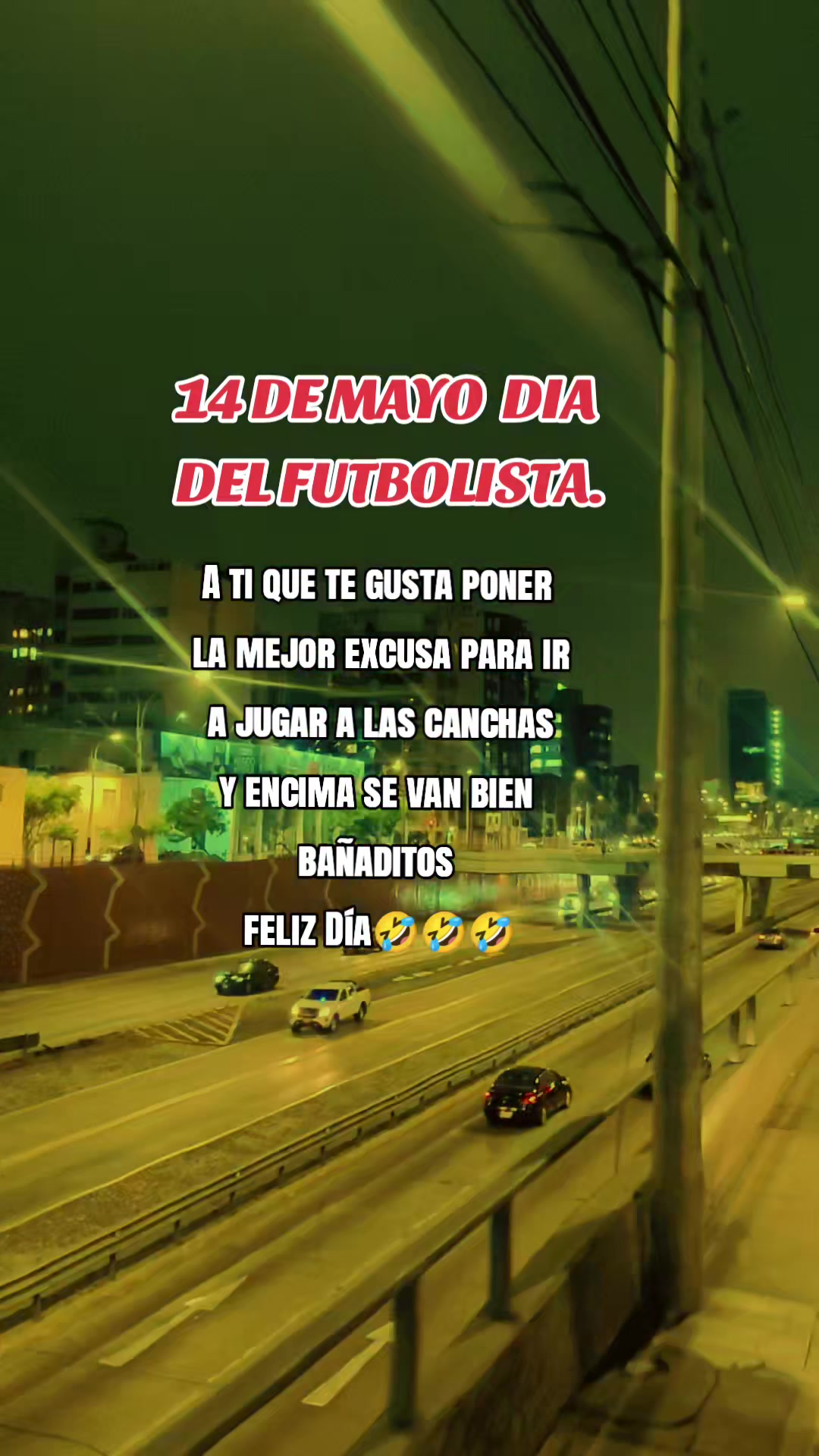 @gatita