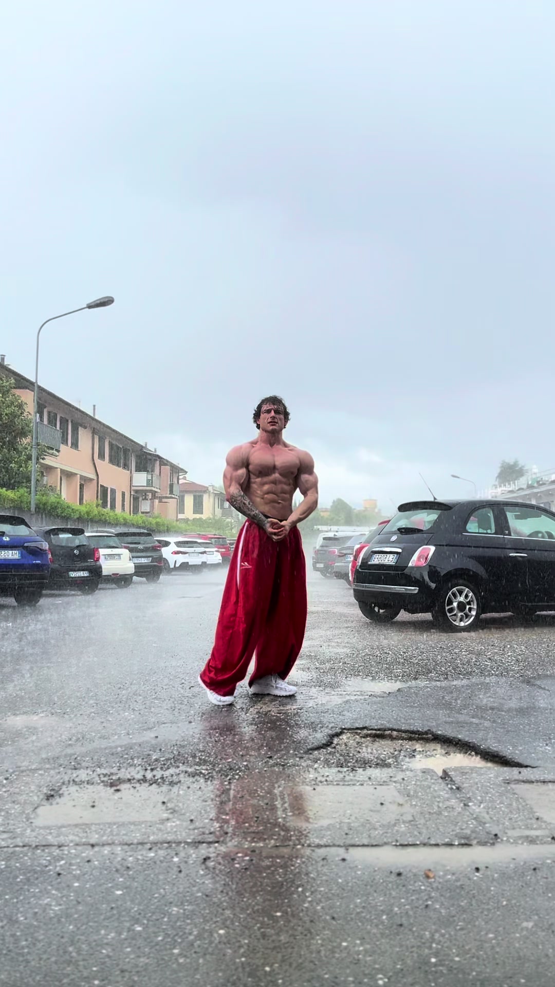 @leospollii