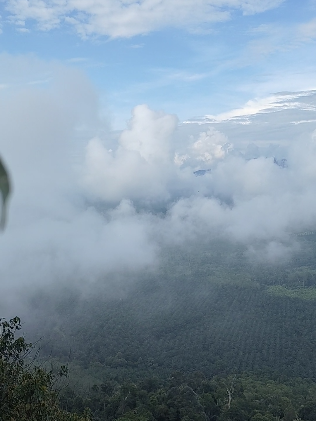 @HANEZIBRAHIM