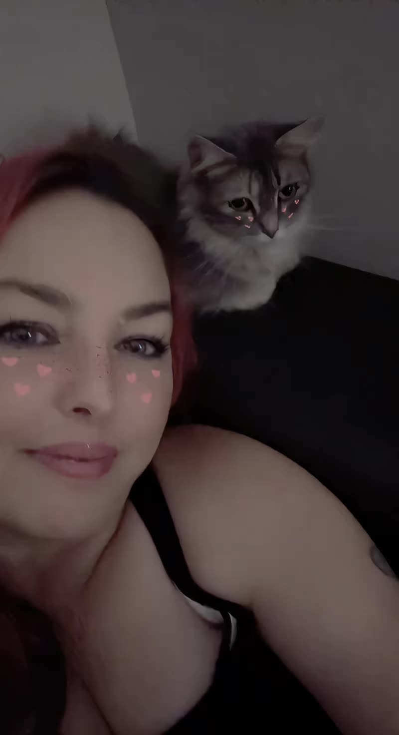 @harley.quinns.mistress