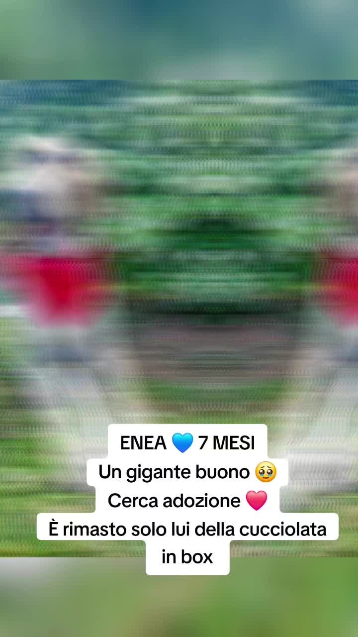 @Manuela