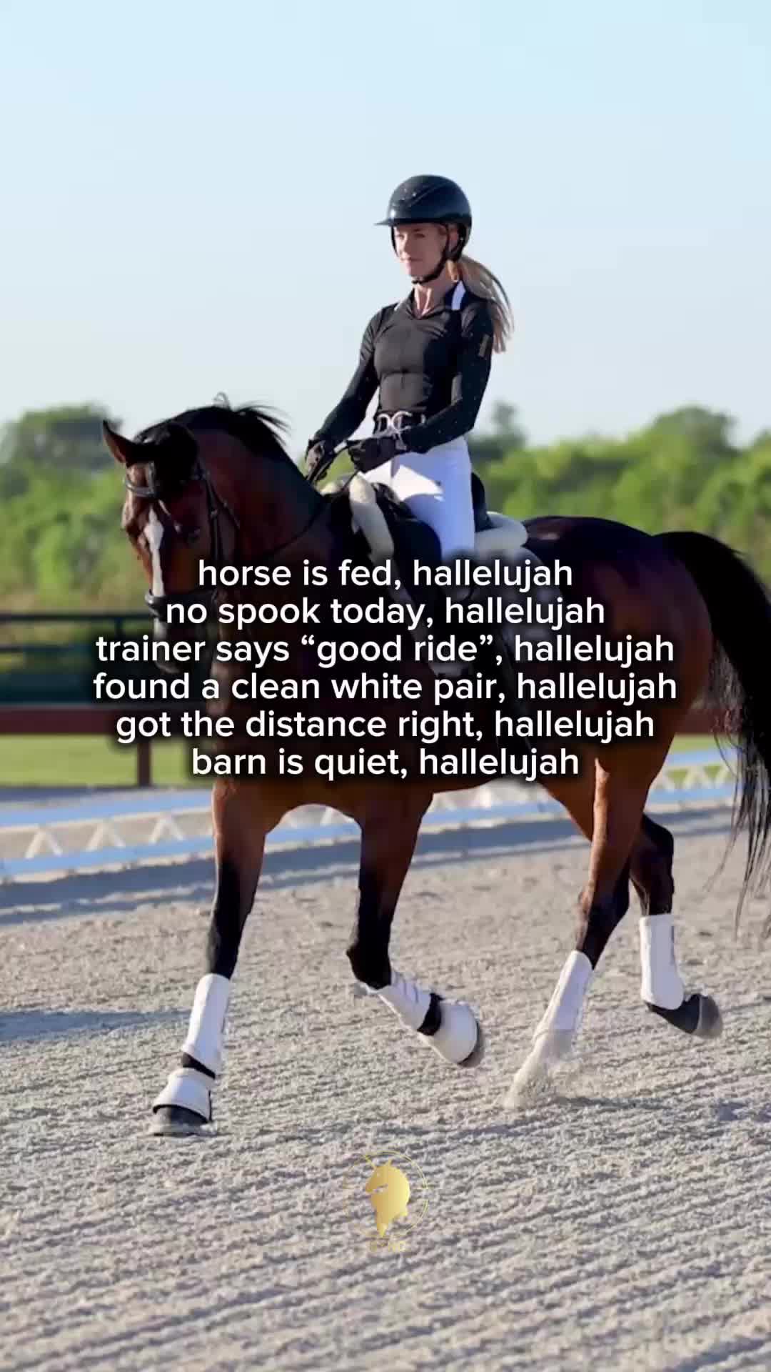 @Sync Equestrian