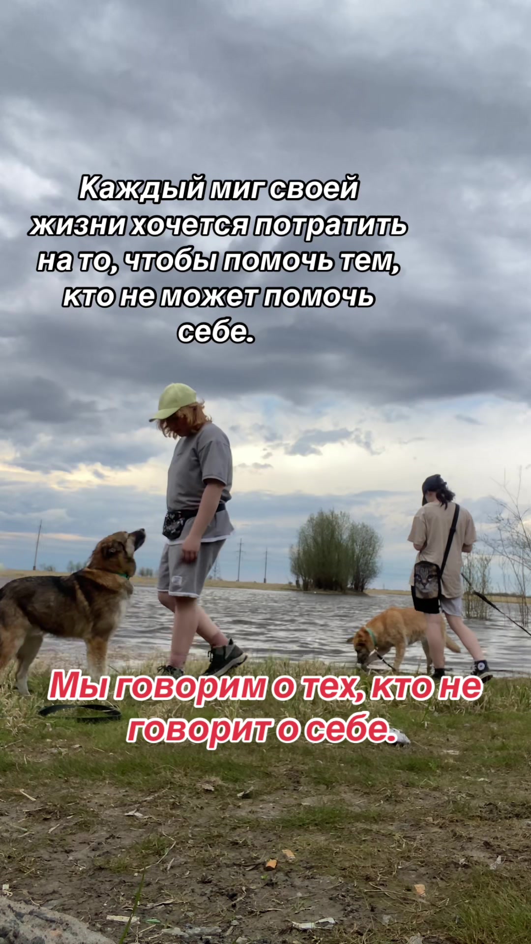 @Ульяна о собаках