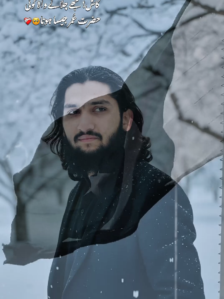 @🍂 امير معاوية 👑