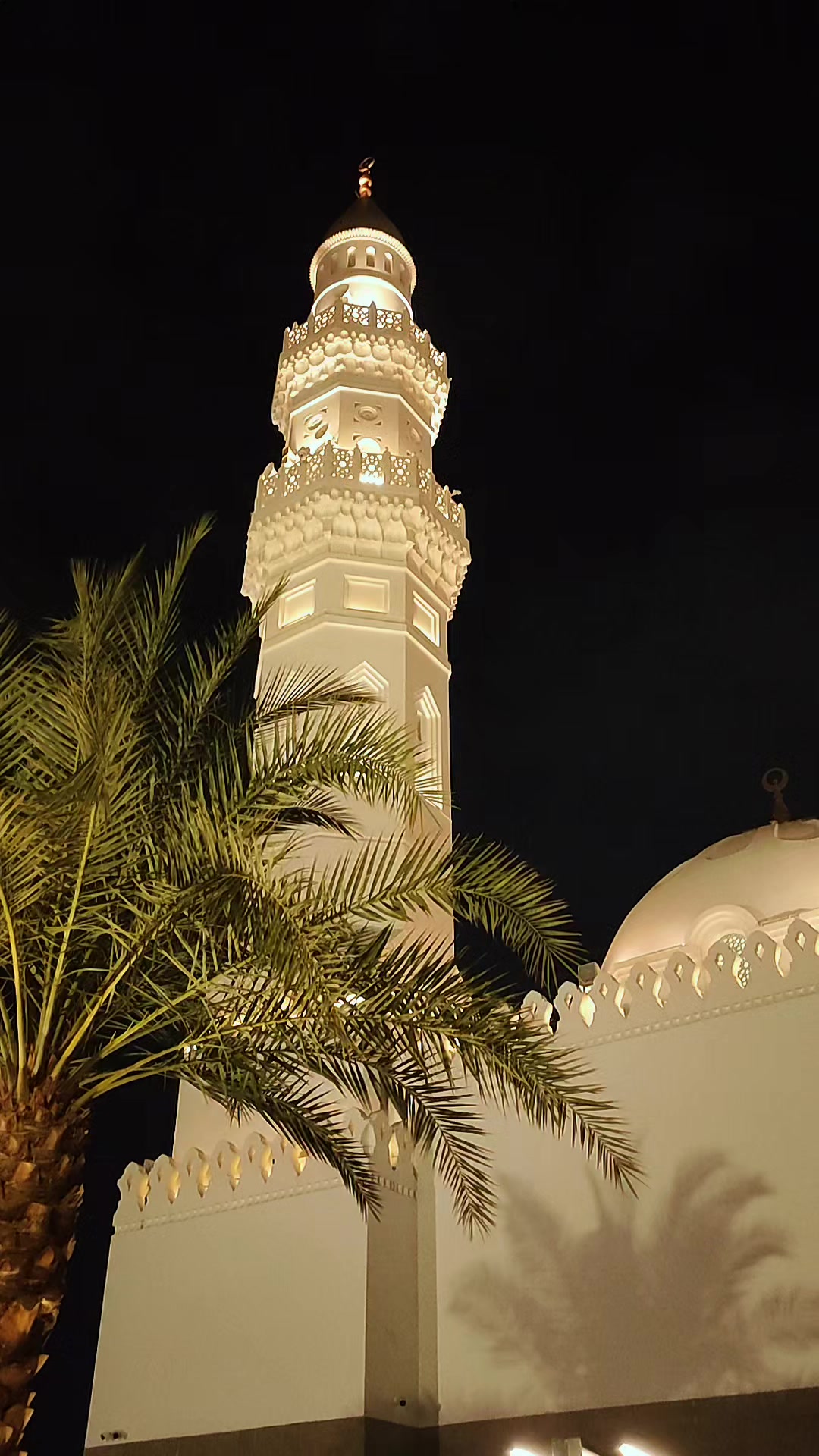 @Madinar khadem đđ¸đĻ