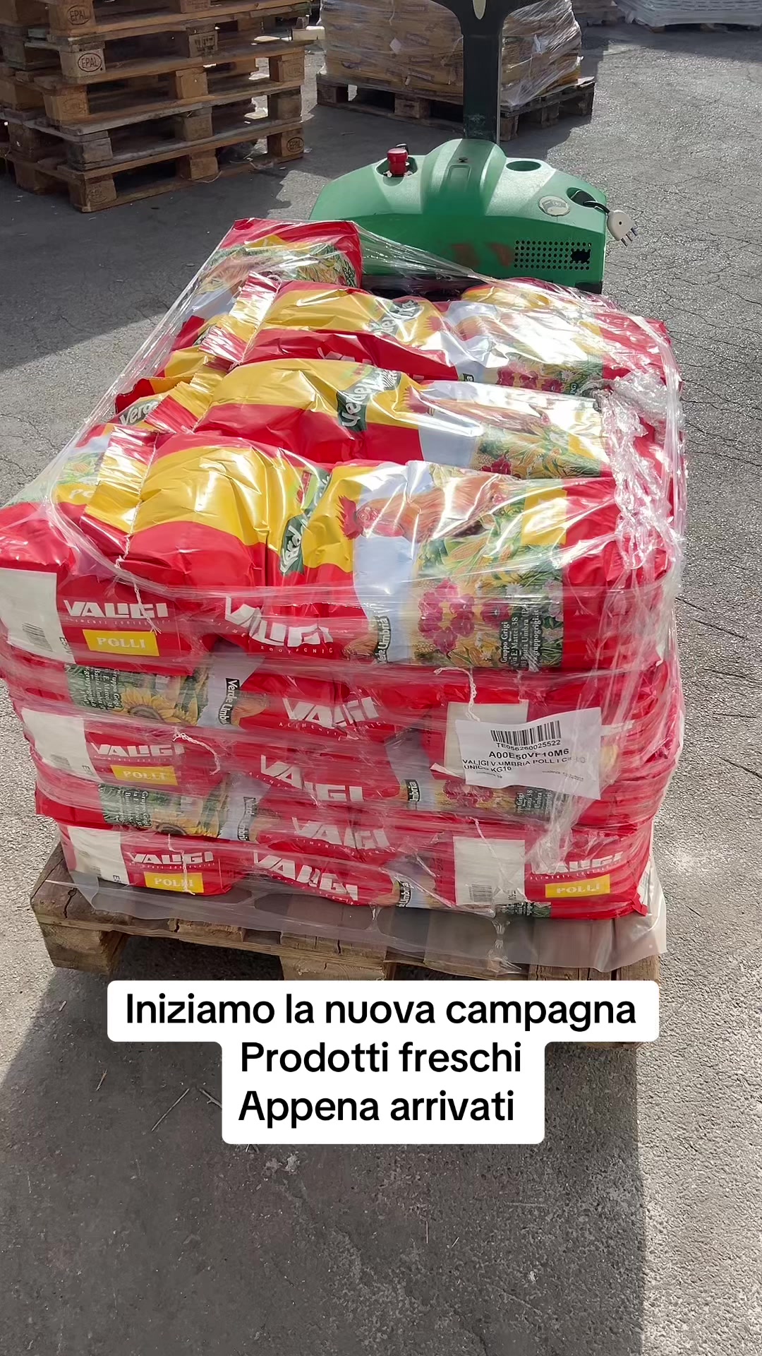 @Viscardi Agro Srl
